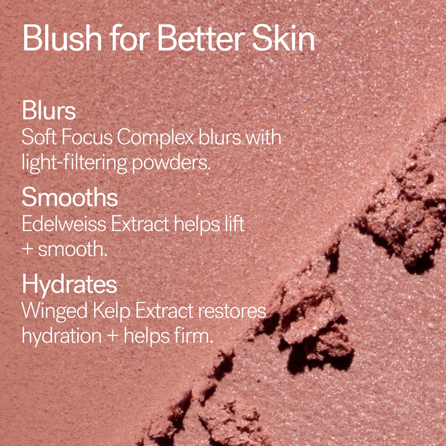 SOFT FOCUS BLURRING BLUSH (RUBOR EN POLVO)